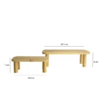 رایزر جفتی رابروود پایه دار